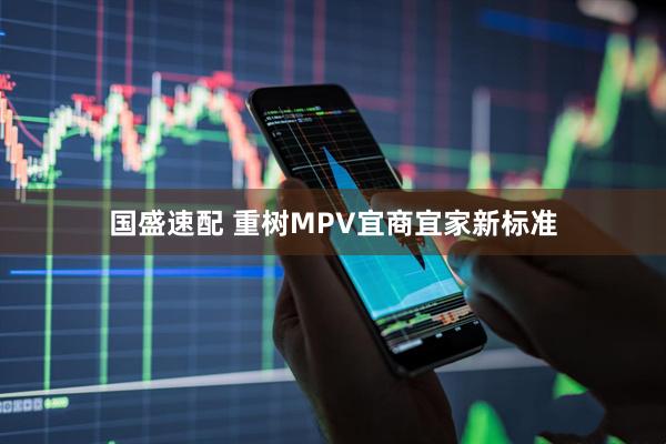 国盛速配 重树MPV宜商宜家新标准