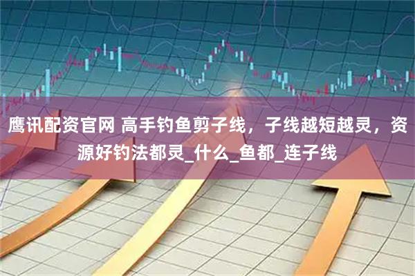 鹰讯配资官网 高手钓鱼剪子线，子线越短越灵，资源好钓法都灵_什么_鱼都_连子线