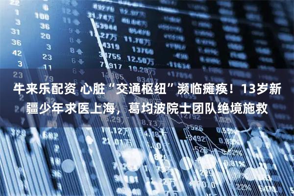 牛来乐配资 心脏“交通枢纽”濒临瘫痪！13岁新疆少年求医上海，葛均波院士团队绝境施救
