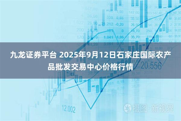 九龙证券平台 2025年9月12日石家庄国际农产品批发交易中心价格行情